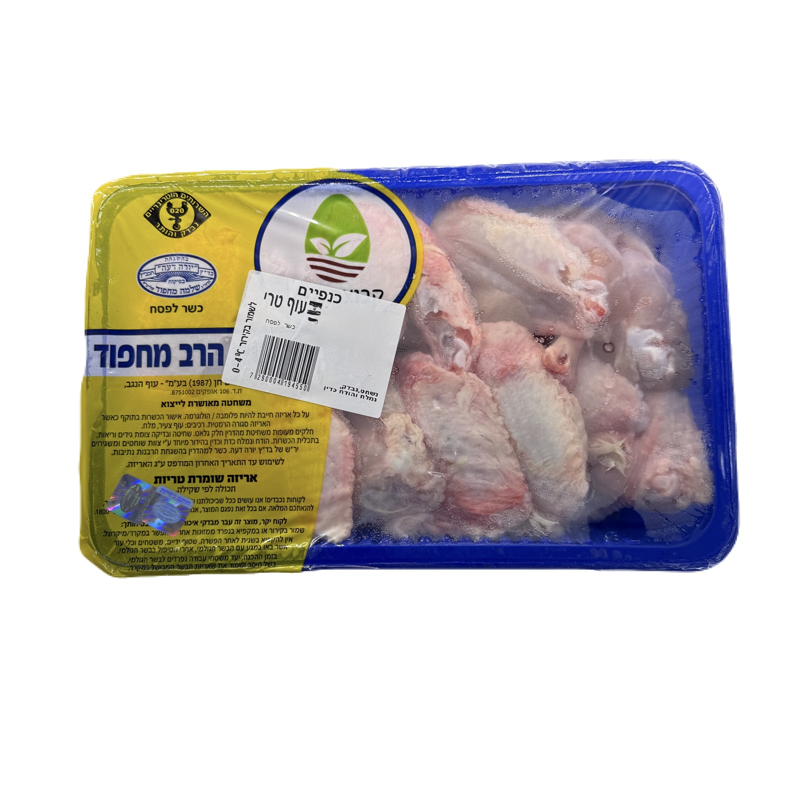 IMG_1989 כנפיים טרי – תמונה 1